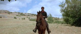 Fort Yuma Gold still 8