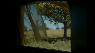 The City of Wild Beasts still 7