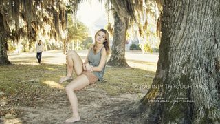 A Journey Through Pines still 8