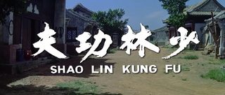 Shaolin Kung Fu still 1