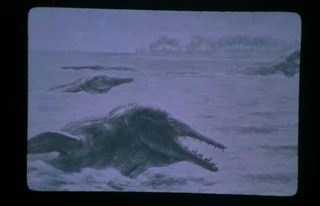 Devil Fish still 6