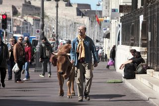 One Man and his Cow still 3