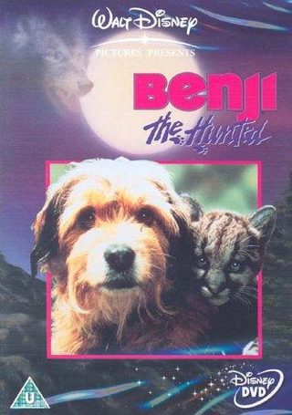 Benji the Hunted still 5