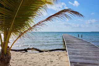 Caribbean Summer still 3