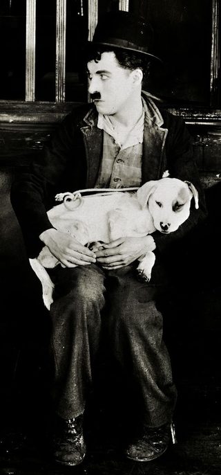 A Dog's Life still 7