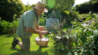 Living the Change: Inspiring Stories for a Sustainable Future still 5