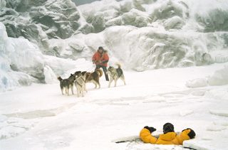 Eight Below still 2