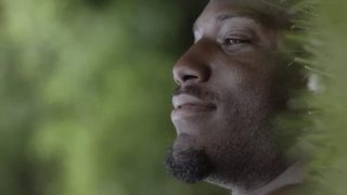 Cicada still 6