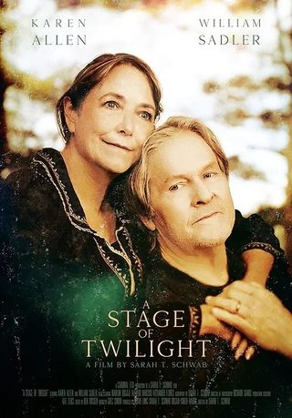 A Stage of Twilight still 5
