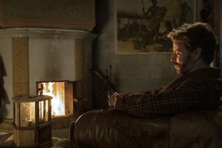 Hamsters still 2
