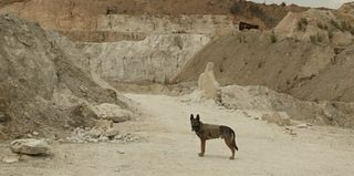 Max still 5