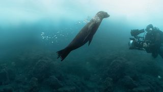 Guardians of the Galapagos still 1