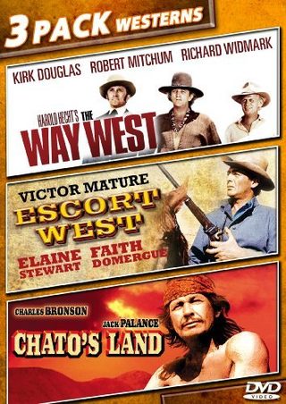 Chato's Land still 2