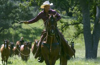 Flicka still 5