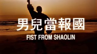 Fist from Shaolin still 4