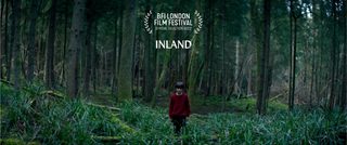 Inland still 5