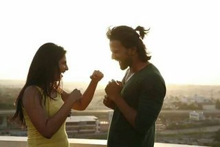 Boxer still 8
