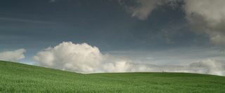 Green Grass still 2