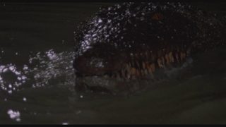 Killer Crocodile still 3