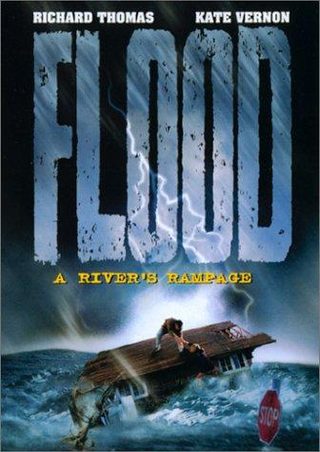 Flood: A River's Rampage still 6