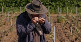 Terroir To Table: Wine Lovers' Guide to Food and Wine still 4