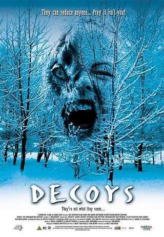 Decoys still 4