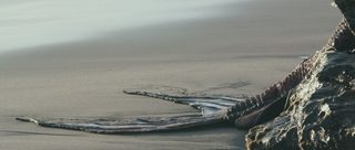Maidens of the Sea still 6