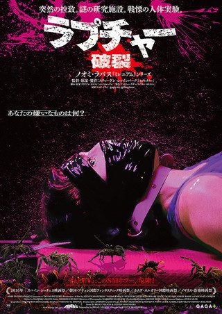 Rupture still 1