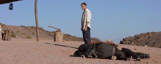 Far from Men still 3