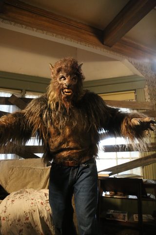 Alpha Wolf still 8