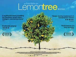 Lemon Tree still 6