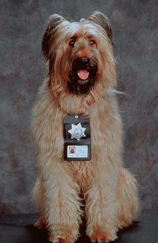Top Dog still 6