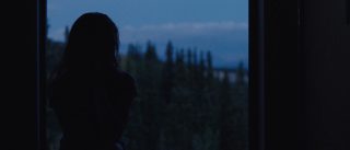 Wildlike still 4