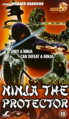 Ninja the Protector still 5