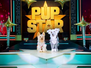 Pup Star: World Tour still 6