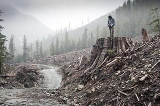 If a Tree Falls: A Story of the Earth Liberation Front still 2