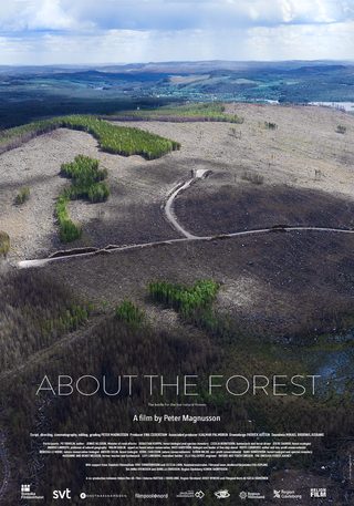 About the Forest still 3