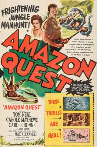Amazon Quest still 3