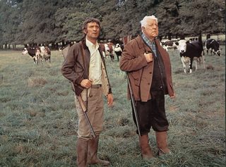 The Horse still 6