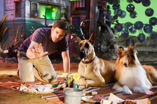 Marmaduke still 7