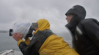 Blackfish still 4