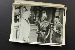 The Egyptian still 7