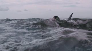 Cage Dive still 8