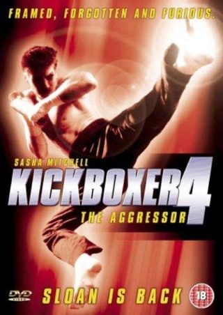 Kickboxer 4: The Aggressor still 4