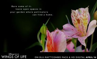 Wings of Life still 4