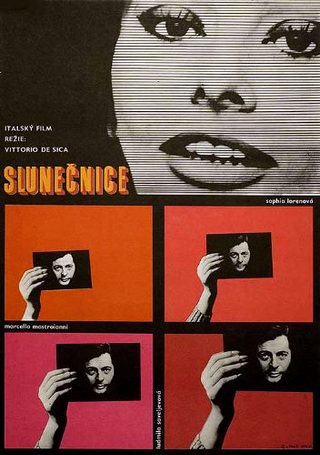 Sunflower still 5