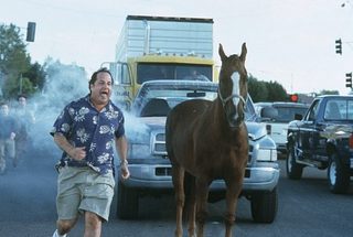 Rat Race still 6