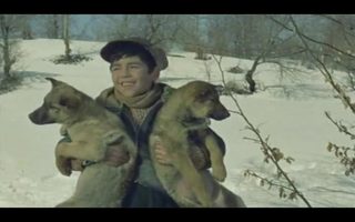 Men and Wolves still 7