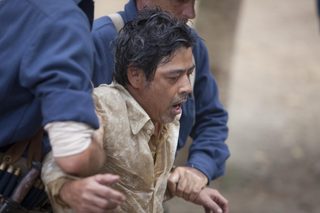 Amigo still 8
