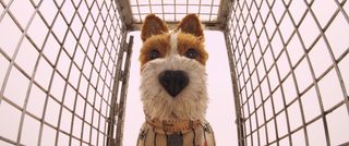 Isle of Dogs still 6